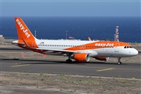 Alfonso Sols - Asociacin Canary Islands Spotting. Haz click para ampliar
