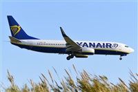 Miguel A. gueda Rguez.  (CANARY ISLANDS SPOTTING). Click to see full size photo