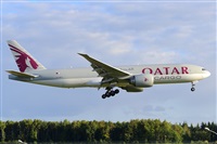 Miguel A. gueda Rguez.  (CANARY ISLANDS SPOTTING). Click to see full size photo