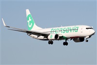 ©Alfonso Solís - Asociación Canary Islands Spotting. Click to see full size photo ©Alfonso Solís - Asociación Canary Islands Spotting. Click to see full size photo