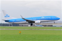Miguel A. gueda Rguez.  (CANARY ISLANDS SPOTTING). Haz click para ampliar