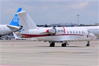 Miguel A. gueda Rguez.  (CANARY ISLANDS SPOTTING). Click to see full size photo