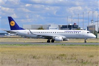Miguel A. gueda Rguez.  (CANARY ISLANDS SPOTTING). Click to see full size photo