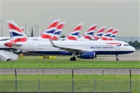 Miguel A. gueda Rguez.  (CANARY ISLANDS SPOTTING). Click to see full size photo
