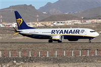 Alfonso Sols - Asociacin Canary Islands Spotting. Haz click para ampliar