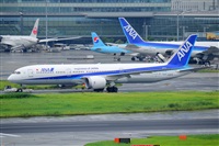 Miguel A. gueda Rguez.  (CANARY ISLANDS SPOTTING). Click to see full size photo