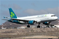 ©Alfonso Solís - Asociación Canary Islands Spotting. Click to see full size photo ©Alfonso Solís - Asociación Canary Islands Spotting. Click to see full size photo