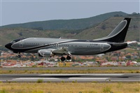 Miguel A. gueda Rguez.  (CANARY ISLANDS SPOTTING). Haz click para ampliar