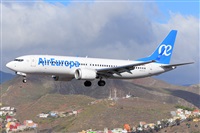 Miguel A. gueda Rguez.  (CANARY ISLANDS SPOTTING). Click to see full size photo