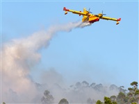 ©Aaròn25. Click to see full size photo ©Aaròn25. Click to see full size photo