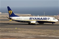 Alfonso Sols - Asociacin Canary Islands Spotting. Click to see full size photo