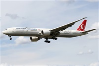 ©Alfonso Solís - Asociación Canary Islands Spotting. Click to see full size photo ©Alfonso Solís - Asociación Canary Islands Spotting. Click to see full size photo