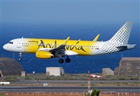 ©Alejandro H.L - Gran Canaria Spotters. Click to see full size photo ©Alejandro H.L - Gran Canaria Spotters. Click to see full size photo