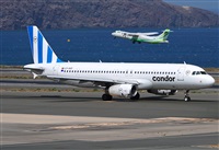 ©Alejandro H.L - Gran Canaria Spotters. Click to see full size photo ©Alejandro H.L - Gran Canaria Spotters. Click to see full size photo