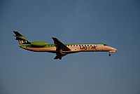 Rubn Gil - Noisy Spotters. Click to see full size photo