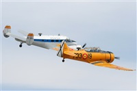 Javier Bozzino Barbudo. Click to see full size photo