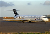 Daniel Vilar - Canary Islands Spotting. Click to see full size photo