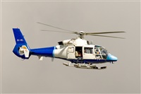 Javier de la Cruz - CANARY ISLANDS SPOTTING. Click to see full size photo