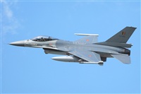 Aset Anton. Click to see full size photo