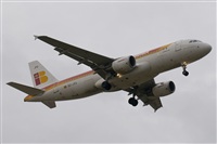 Luciano de la Rosa Gutirrez (Tenerife) Canary Islands Spotting. Click to see full size photo