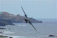 Chalo Canary Islands Spotting. Click to see full size photo