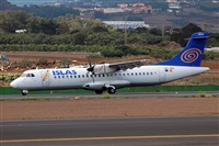 Miguel A. gueda Rguez.  (CANARY ISLANDS SPOTTING). Haz click para ampliar