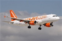 Alfonso Sols - Asociacin Canary Islands Spotting. Click to see full size photo