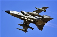 Antonio Zamora - La Mancha Spotters. Click to see full size photo