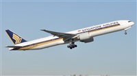 Rubn Gil - Noisy Spotters. Click to see full size photo