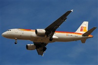 Alvaro Mijares (Seoul Spotting). Click to see full size photo