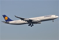 Rubn Gil - Noisy Spotters. Click to see full size photo