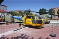 Alfonso Sols - Asociacin Canary Islands Spotting. Haz click para ampliar