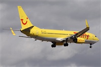 ©Alfonso Solís - Asociación Canary Islands Spotting. Click to see full size photo ©Alfonso Solís - Asociación Canary Islands Spotting. Click to see full size photo