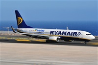 Miguel A. gueda Rguez.  (CANARY ISLANDS SPOTTING). Click to see full size photo