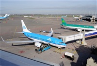 Miguel Martin Cordeiro - Iberian Spotters. Click to see full size photo