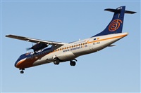 ©Alfonso Solís - Asociación Canary Islands Spotting. Click to see full size photo ©Alfonso Solís - Asociación Canary Islands Spotting. Click to see full size photo