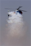 ©Richard Sanchez Gibelin. Click to see full size photo ©Richard Sanchez Gibelin. Click to see full size photo