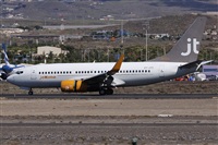 ©Alfonso Solís - Asociación Canary Islands Spotting. Click to see full size photo ©Alfonso Solís - Asociación Canary Islands Spotting. Click to see full size photo
