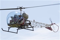 Rui Alves - Madeira Spotters. Click to see full size photo