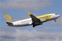 ©Alfonso Solís - Asociación Canary Islands Spotting. Click to see full size photo ©Alfonso Solís - Asociación Canary Islands Spotting. Click to see full size photo