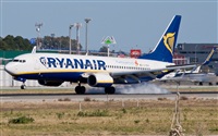 ©Ismael -Costa del Sol Spotters- (Fuengirola). Click to see full size photo ©Ismael -Costa del Sol Spotters- (Fuengirola). Click to see full size photo