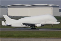 Rodrigo Carvalho - Noisy Spotters. Click to see full size photo