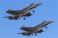 Bartolom Fernndez - Gran Canaria Spotters. Click to see full size photo