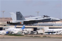 Alfonso Sols - Asociacin Canary Islands Spotting. Click to see full size photo