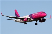 Rubn Gil - Noisy Spotters. Click to see full size photo