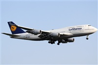 Rubn Gil - Noisy Spotters. Click to see full size photo
