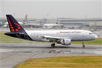 Miguel A. gueda Rguez.  (CANARY ISLANDS SPOTTING). Click to see full size photo