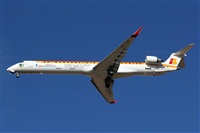 Adrin Alonso Lemes - Lanzarote Spotters. Click to see full size photo