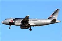 Ana L@dy Spotter. Click to see full size photo