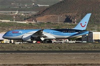 Alfonso Sols - Asociacin Canary Islands Spotting. Click to see full size photo